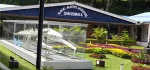Samudrika Museum, Andaman Nicobar