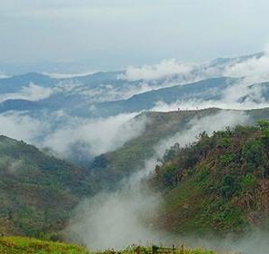 Nagaland Sightseeing Packages